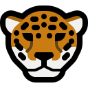 :jaguar: