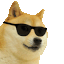 :cooldoge: