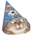 :wizardcat: