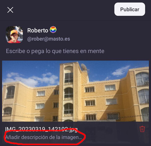 Ejemplo 2 para añadir texto alternativo desde la aplicación móvil. Hay una imagen cargada y el botón de añadir descripción de la imagen está señalado con un círculo rojo.
