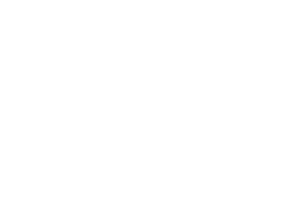 Festival de cine. Sección oficial