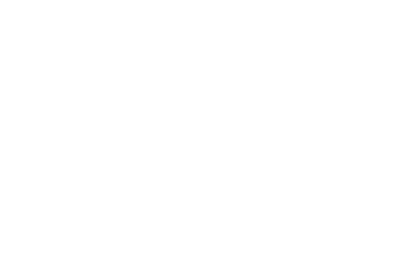 Festival de cine. Sección oficial