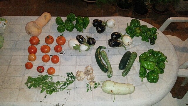 Cesta de la semana con calabaza, tomates, pimientos, calabacín blanco, y alargados, pepino, berenjenas blancas y negras, ajos y perejil.