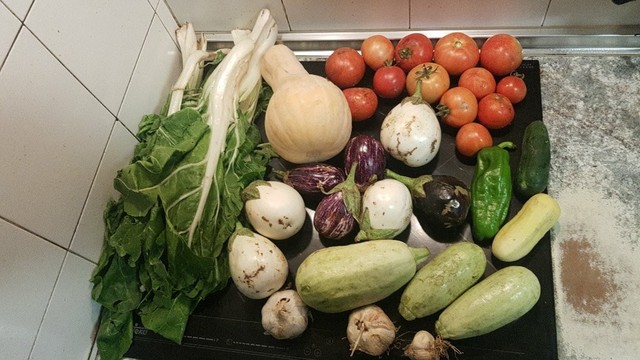 Cesta de la semana con acelgas, calabaza, berenjenas blancas, negras y moradas, calabacines blancos, pepinos blancos y verdes, ajos y tomates.
