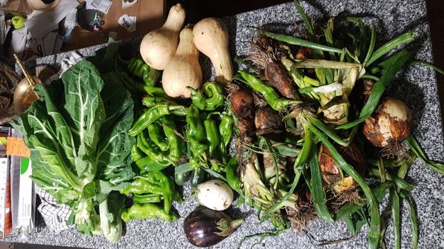 cesta de la semana con hojas de berza asa de cántaro, pimientos, berenjenas, calabazas, cebollas y cebolletas.