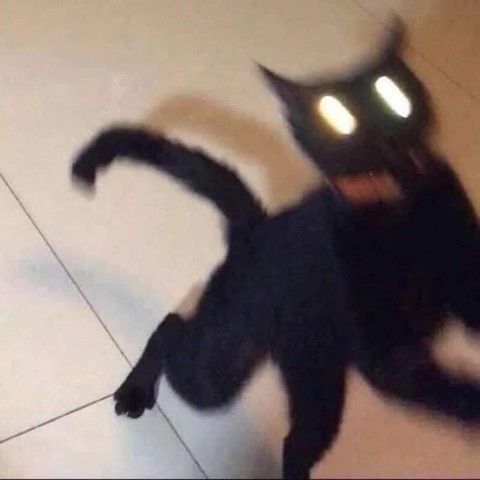 fotos de gatos endemoniados con brillos sospechosos en los ojos