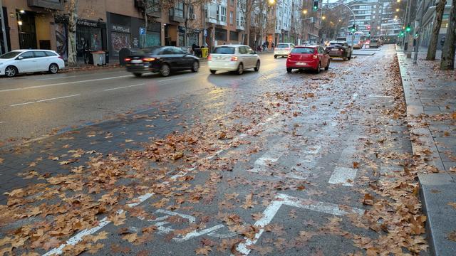 Carril-bici lleno de hojas que el camión de la limpieza a arrojado desde el carril convencional.