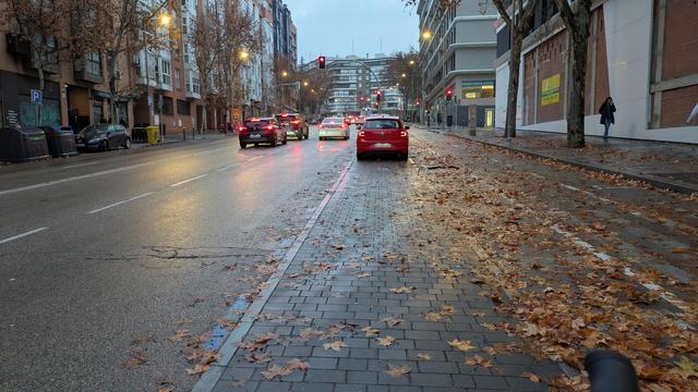 Carril-bici lleno de hojas que el camión de la limpieza a arrojado desde el carril convencional.