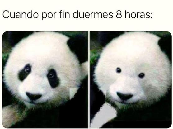 Cuando por fin duermes 8 horas

Se ve a un panda con las típicas "ojeras" negras y un panda sin "ojeras" que serían las manchas.
