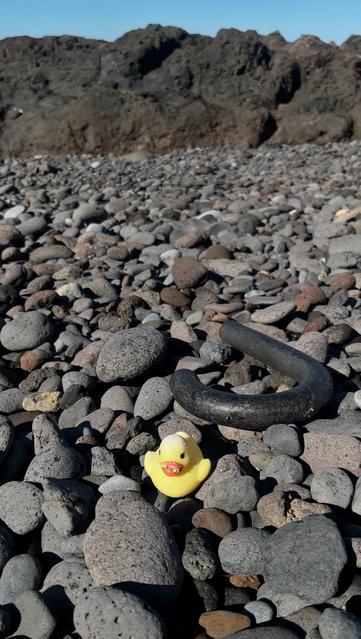 Patito amarillo y asa d paraguas negro, ambos d plástico, entre las piedras d la playa. 