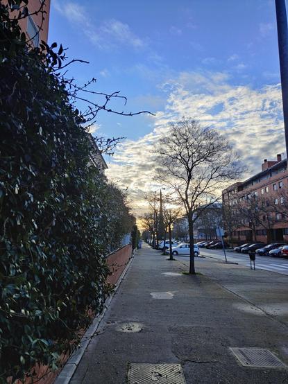 Una acera amplia y vacía se extiende hacia un cielo azul claro y nublado. A lo largo de la acera, hay una hilera de árboles de invierno delgados y sin hojas a ambos lados, con coches aparcados a lo largo de la calle. A la izquierda de la acera, una alta pared de ladrillo está cubierta de un denso seto verde oscuro. Al fondo, se ven edificios de apartamentos de varios pisos. La escena es tranquila y pacífica, con la luz del sol de la mañana creando un ambiente sereno.