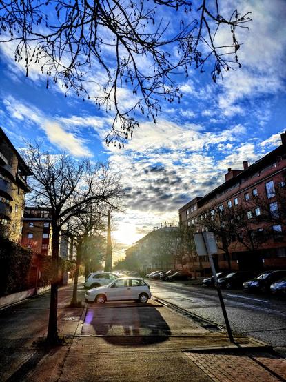 Una calle de ciudad, parcialmente iluminada por el sol del amanecer, se extiende hacia un cielo azul y nublado.  Árboles sin hojas flanquean la calle, y varios coches están aparcados a lo largo de ella.  Edificios de varios pisos, de ladrillo, se alinean a ambos lados de la calle. El sol brilla a través de las ramas de los árboles, proyectando sombras sobre el suelo. La escena transmite una sensación de tranquilidad y serenidad invernal.