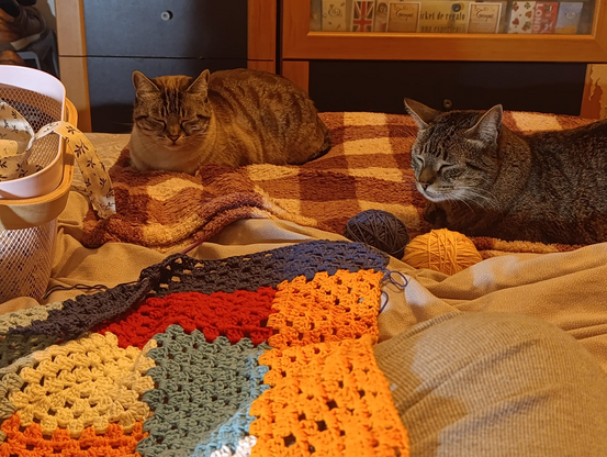 Dos gatos encima de una cama con los ojos cerrados.