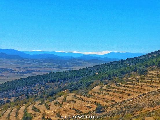 A panoramic view of a landscape, showing rolling hills covered in low-lying trees and shrubs.  Terraced fields are visible on the hillside.  In the distance, a range of mountains (Sierra Nevada) stretches across the horizon under a clear blue sky.  Snow is visible on the furthest mountains of Sierra Nevada, whose highest peak is Mulhacén, with an elevation of 3,479 metres. This is the highest mountain in the Iberian Peninsula.