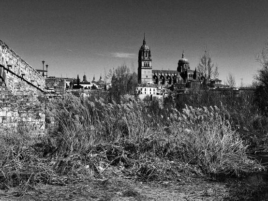 Una vista en blanco y negro de una catedral imponente, parcialmente oculta tras una densa vegetación seca. La catedral, con dos torres prominentes y un diseño arquitectónico complejo, se alza en el fondo. En el primer plano, se observa un muro de piedra, posiblemente parte de un puente o una fortificación antigua, que contrasta con la vegetación.  Los árboles desnudos del invierno rodean la catedral, añadiendo un toque melancólico a la escena. La imagen evoca una sensación de historia y serenidad.