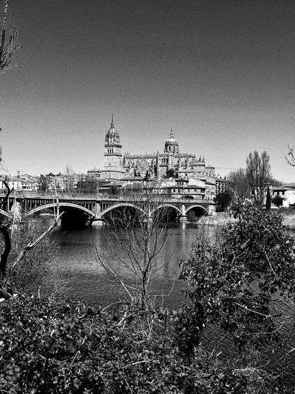 Una fotografía en blanco y negro muestra una vista de la Catedral de Salamanca, España, desde el otro lado de un río. La catedral, con sus dos torres imponentes y su arquitectura detallada, ocupa el centro de la imagen. Un puente de arcos se extiende a través del río en primer plano, conectando la orilla con la ciudad. La vegetación, incluyendo arbustos y árboles de ramas desnudas, se encuentra en primer plano, creando una escena natural que contrasta con la estructura urbana de la catedral y el puente. El cielo está despejado, y la luz sugiere que es de día. La imagen tiene un tono sereno y monótono.