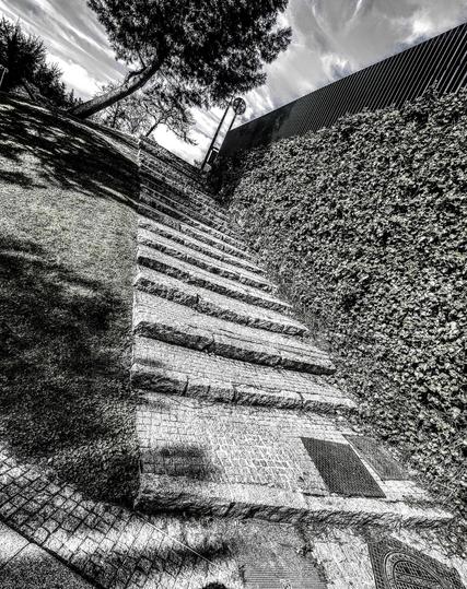 Una escalera de piedra asciende en perspectiva, desde la parte inferior izquierda hasta el centro superior de la imagen. La escalera está hecha de bloques de piedra de color gris claro, y se encuentra entre un área cubierta de hierba a la izquierda y un muro cubierto de hiedra a la derecha. Un árbol se ve en la parte superior izquierda, y un muro alto con una estructura moderna se encuentra en la parte superior derecha. La imagen está en blanco y negro, creando un contraste dramático entre las texturas de la piedra, la hierba y la hiedra.