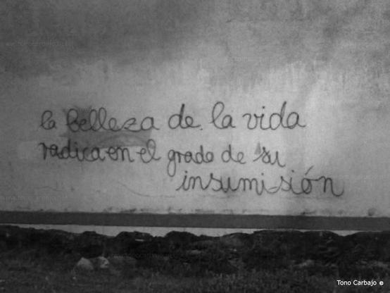 La imagen muestra una pared de hormigón con graffiti escrito en castellano. El graffiti dice: "La belleza de la vida radica en el grado de su insumisión"