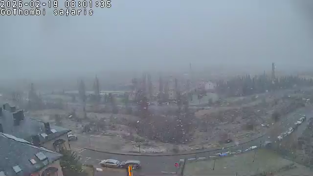 Imagen nublada de Jaca viendo como caen copos de nieve venteados